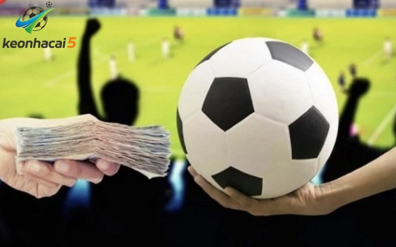 Cập nhật tỷ lệ cá cược Đức: Kèo Tài Xỉu tổng bàn thắng