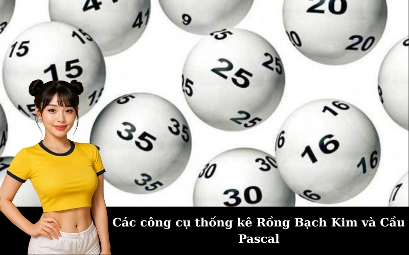 Các công cụ thống kê Rồng Bạch Kim và Cầu Pascal
