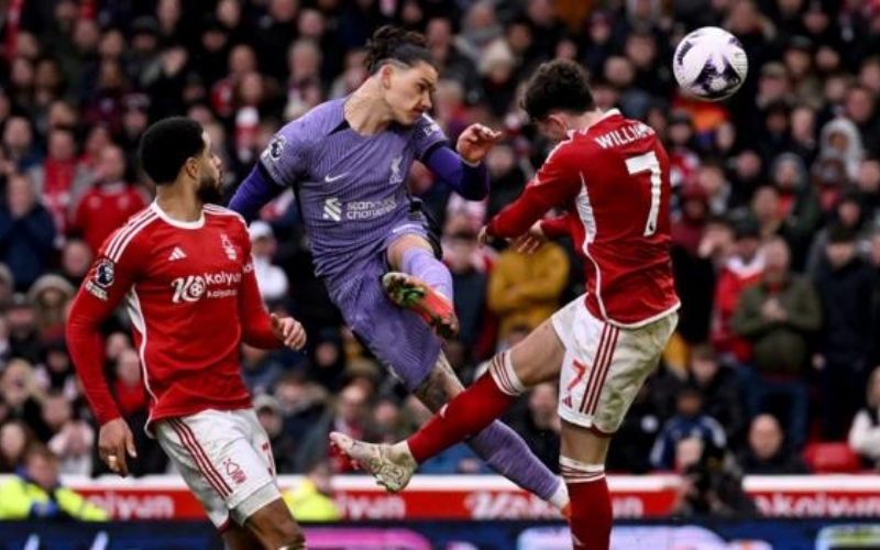Tranh cãi trọng tài Paul Tierney và phản ứng của Nottingham Forest