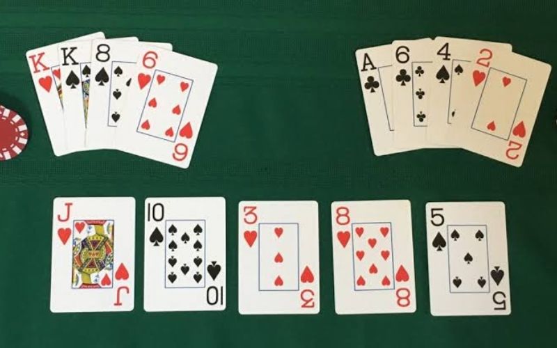 Phân biệt các thuật ngữ High Roller, Whale trong thế giới bài bạc