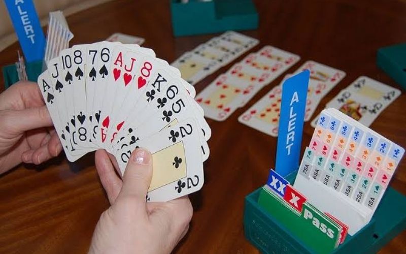 Sức Sống Mãnh Liệt Của Trò Chơi Phỏm Trong Nhịp Sống Văn Phòng