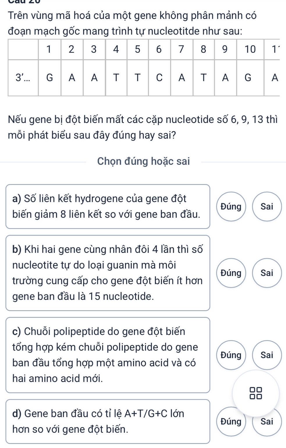 Ảnh trình tự mạch gốc của gen và các cặp nucleotide bị mất ở vị trí 6, 9, 13